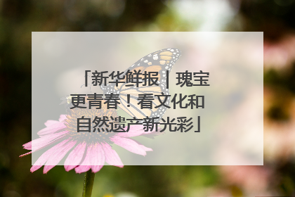 新华鲜报｜瑰宝更青春！看文化和自然遗产新光彩