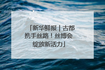 新华鲜报｜古都携手丝路！丝博会绽放新活力