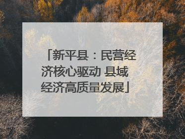 新平县：民营经济核心驱动 县域经济高质量发展