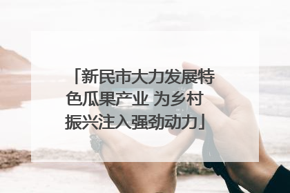 新民市大力发展特色瓜果产业 为乡村振兴注入强劲动力
