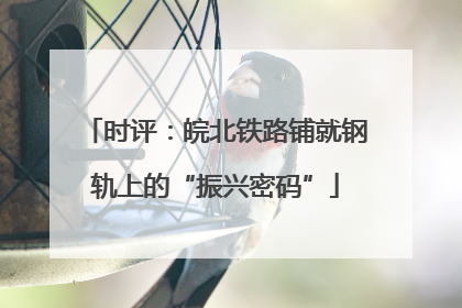 时评：皖北铁路铺就钢轨上的“振兴密码”