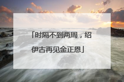 时隔不到两周，绍伊古再见金正恩