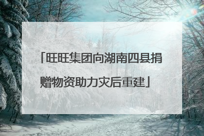 旺旺集团向湖南四县捐赠物资助力灾后重建