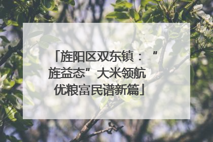 旌阳区双东镇：“旌益态”大米领航 优粮富民谱新篇