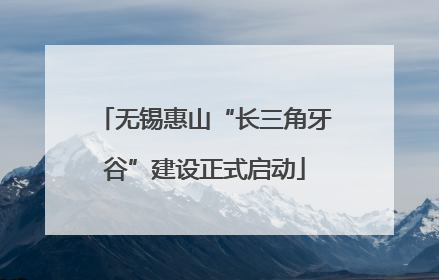 无锡惠山“长三角牙谷”建设正式启动