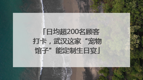 日均超200名顾客打卡，武汉这家“宠物馆子”能定制生日宴