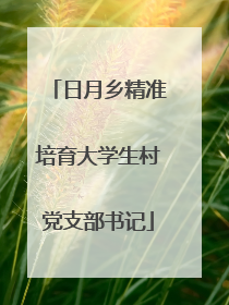 日月乡精准培育大学生村党支部书记
