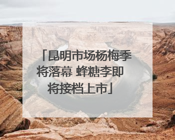 昆明市场杨梅季将落幕 蜂糖李即将接档上市