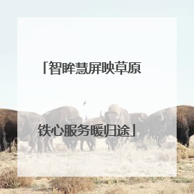 智眸慧屏映草原 铁心服务暖归途