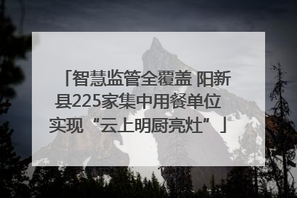 智慧监管全覆盖 阳新县225家集中用餐单位实现“云上明厨亮灶”