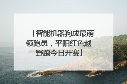 智能机器狗成最萌领跑员，平阳红色越野跑今日开赛
