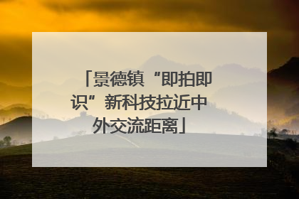 景德镇“即拍即识”新科技拉近中外交流距离