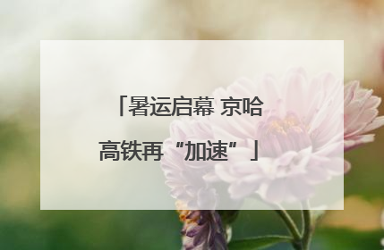 暑运启幕 京哈高铁再“加速”