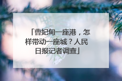 曹妃甸一座港，怎样带动一座城？人民日报记者调查