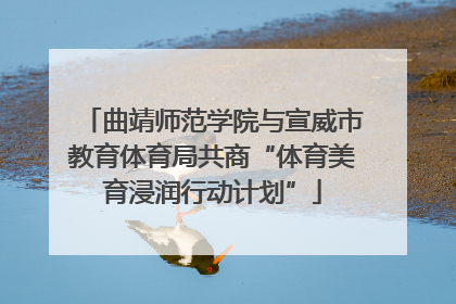 曲靖师范学院与宣威市教育体育局共商“体育美育浸润行动计划”