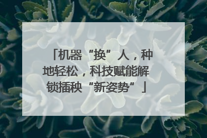 机器“换”人，种地轻松，科技赋能解锁插秧“新姿势”