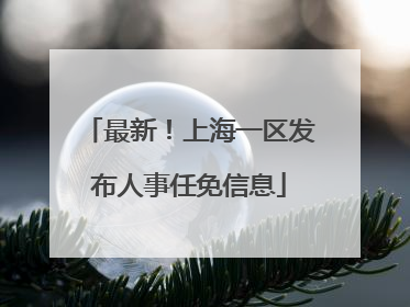 最新！上海一区发布人事任免信息