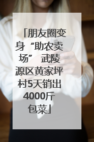朋友圈变身“助农卖场” 武陵源区黄家坪村5天销出4000斤包菜