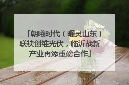 朝曦时代（曜灵山东）联袂创维光伏，临沂战新产业再添重磅合作