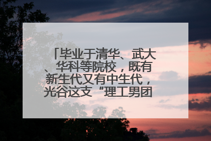 毕业于清华、武大、华科等院校，既有新生代又有中生代，光谷这支“理工男团”为何“出道”？