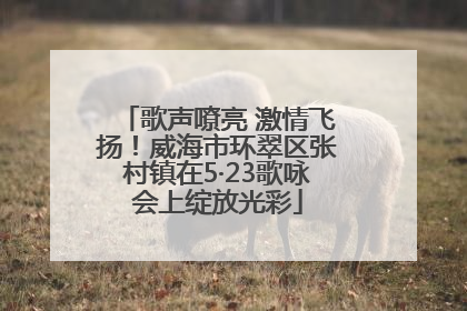 歌声嘹亮 激情飞扬！威海市环翠区张村镇在5·23歌咏会上绽放光彩