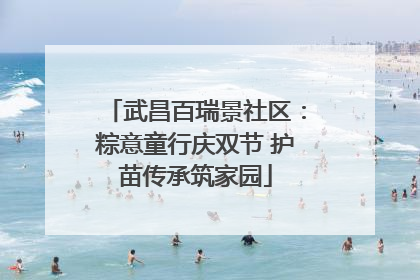 武昌百瑞景社区：粽意童行庆双节 护苗传承筑家园