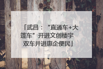 武昌：“直通车+大篷车”开进文创楼宇 双车并进惠企便民