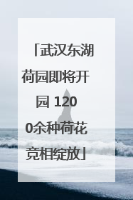 武汉东湖荷园即将开园 1200余种荷花竞相绽放