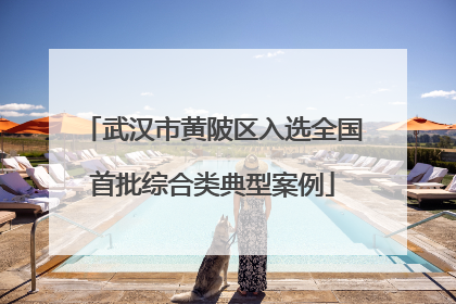 武汉市黄陂区入选全国首批综合类典型案例