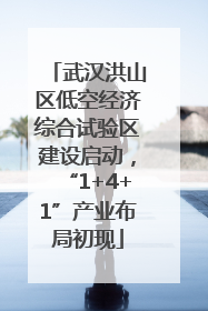武汉洪山区低空经济综合试验区建设启动，“1+4+1”产业布局初现