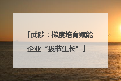 武陟：梯度培育赋能企业“拔节生长”