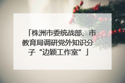 株洲市委统战部、市教育局调研党外知识分子“边颖工作室”