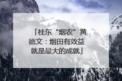 桂东“烟农”黄德文：烟田有效益就是最大的成就