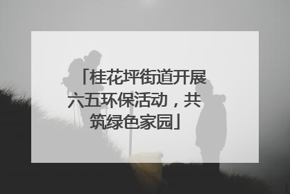 桂花坪街道开展六五环保活动，共筑绿色家园