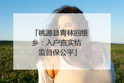 桃源县青林回维乡：入户查实情 监督保公平