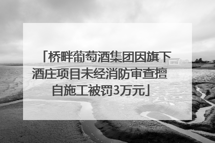 桥畔葡萄酒集团因旗下酒庄项目未经消防审查擅自施工被罚3万元