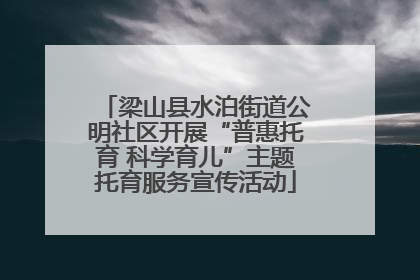 梁山县水泊街道公明社区开展“普惠托育 科学育儿”主题托育服务宣传活动