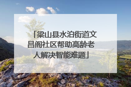 梁山县水泊街道文昌阁社区帮助高龄老人解决智能难题