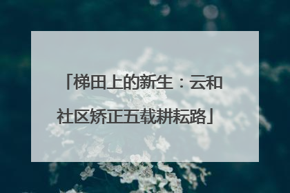 梯田上的新生：云和社区矫正五载耕耘路