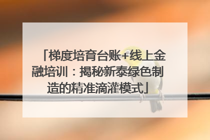 梯度培育台账+线上金融培训：揭秘新泰绿色制造的精准滴灌模式