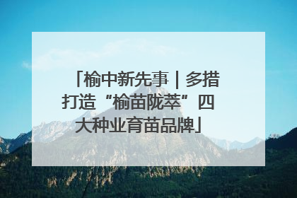 榆中新先事｜多措打造“榆苗陇萃”四大种业育苗品牌