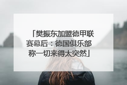 樊振东加盟德甲联赛幕后：德国俱乐部称一切来得太突然