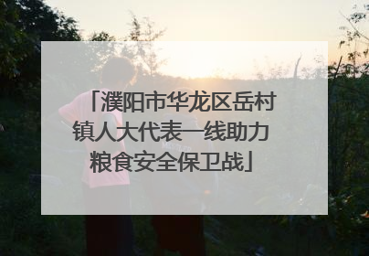 濮阳市华龙区岳村镇人大代表一线助力粮食安全保卫战