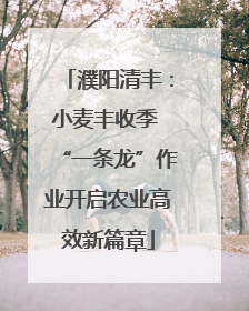 濮阳清丰：小麦丰收季 “一条龙”作业开启农业高效新篇章