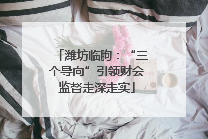 潍坊临朐：“三个导向”引领财会监督走深走实