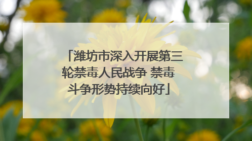 潍坊市深入开展第三轮禁毒人民战争 禁毒斗争形势持续向好