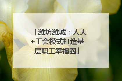 潍坊潍城：人大+工会模式打造基层职工幸福圈