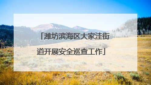 潍坊滨海区大家洼街道开展安全巡查工作