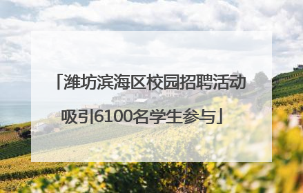 潍坊滨海区校园招聘活动吸引6100名学生参与