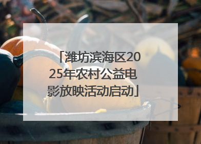 潍坊滨海区2025年农村公益电影放映活动启动